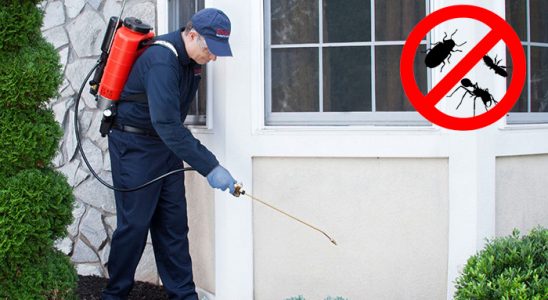 Çukurova Bit İlaçlama böcek ilaçlama ve haşere kontrolü — ilaclama-tr.com